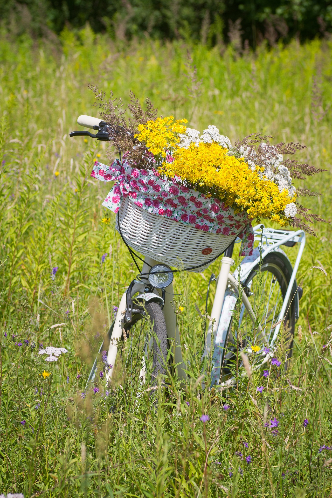 vélo_Kristine Lejniece de Pixabay